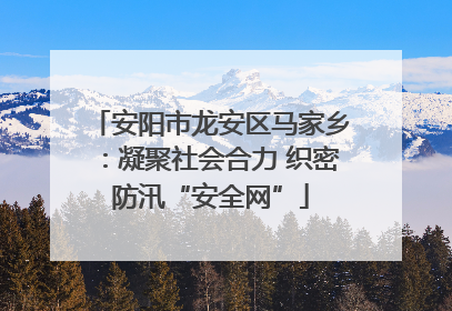 安阳市龙安区马家乡：凝聚社会合力 织密防汛“安全网”