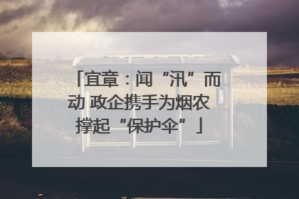 宜章：闻“汛”而动 政企携手为烟农撑起“保护伞”