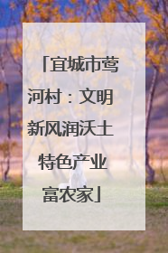 宜城市莺河村：文明新风润沃土 特色产业富农家