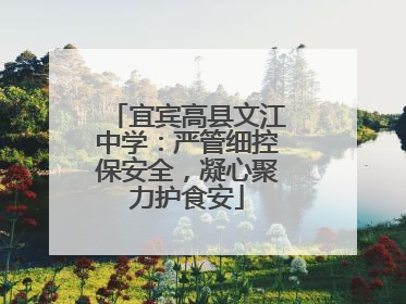 宜宾高县文江中学：严管细控保安全，凝心聚力护食安