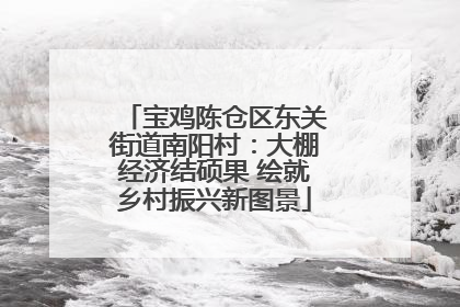 宝鸡陈仓区东关街道南阳村：大棚经济结硕果 绘就乡村振兴新图景