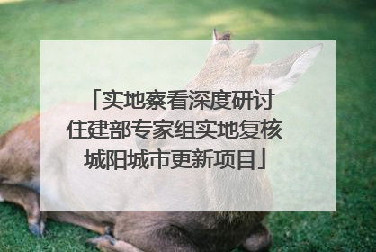 实地察看深度研讨 住建部专家组实地复核城阳城市更新项目