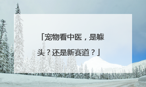 宠物看中医，是噱头？还是新赛道？