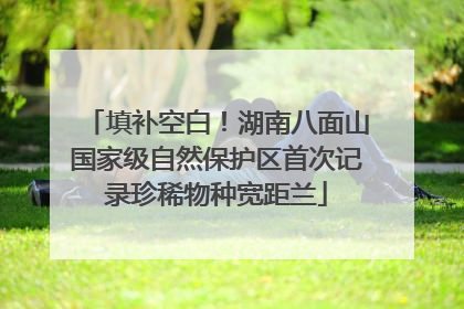 填补空白！湖南八面山国家级自然保护区首次记录珍稀物种宽距兰