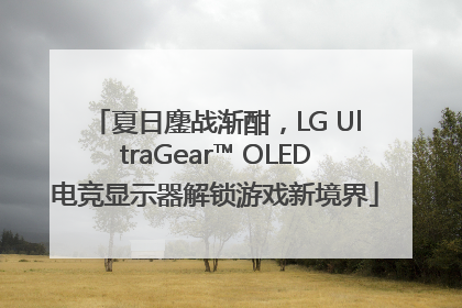 夏日鏖战渐酣，LG UltraGear™ OLED电竞显示器解锁游戏新境界