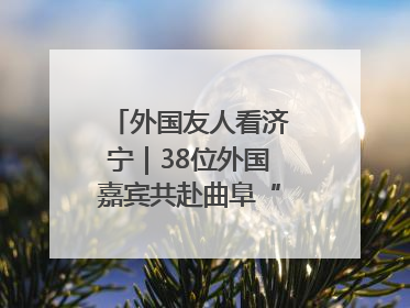 外国友人看济宁｜38位外国嘉宾共赴曲阜“文化之约”