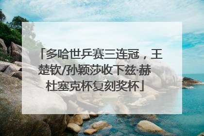 多哈世乒赛三连冠，王楚钦/孙颖莎收下兹·赫杜塞克杯复刻奖杯