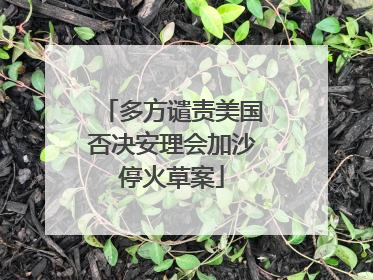 多方谴责美国否决安理会加沙停火草案