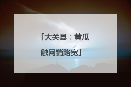 大关县：黄瓜触网销路宽