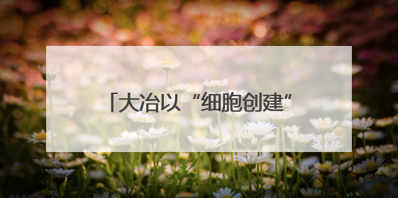 大冶以“细胞创建”激活城市文明活力