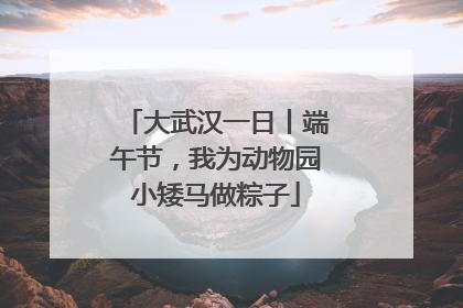 大武汉一日丨端午节，我为动物园小矮马做粽子