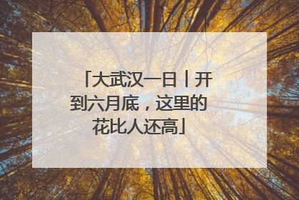 大武汉一日︱开到六月底，这里的花比人还高