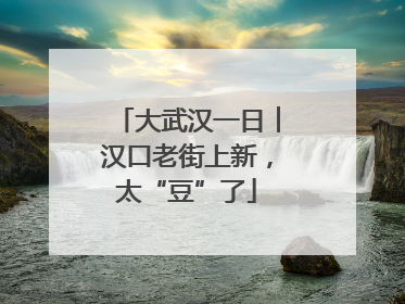 大武汉一日︱汉口老街上新，太“豆”了