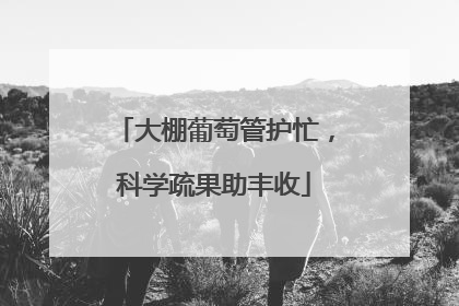 大棚葡萄管护忙，科学疏果助丰收
