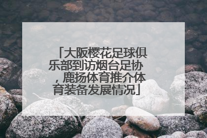 大阪樱花足球俱乐部到访烟台足协，鹿扬体育推介体育装备发展情况