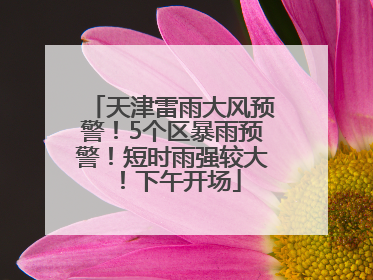 天津雷雨大风预警！5个区暴雨预警！短时雨强较大！下午开场