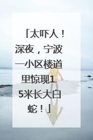 太吓人！深夜，宁波一小区楼道里惊现1.5米长大白蛇！