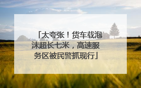 太夸张！货车载泡沫超长七米，高速服务区被民警抓现行