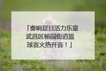 奏响夏日活力乐章 武昌区杨园街道篮球赛火热开赛！