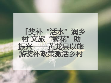 奖补“活水”润乡村 文旅“繁花”助振兴——黄龙县以旅游奖补政策激活乡村振兴新动能