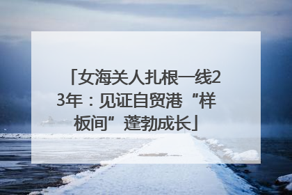 女海关人扎根一线23年：见证自贸港“样板间”蓬勃成长