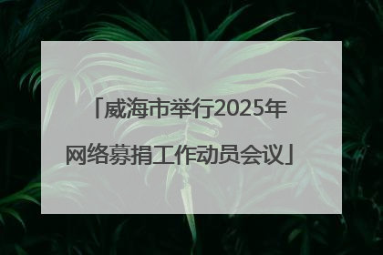 威海市举行2025年网络募捐工作动员会议