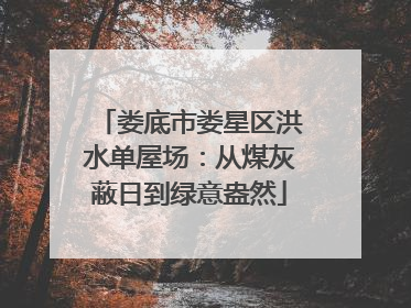 娄底市娄星区洪水单屋场：从煤灰蔽日到绿意盎然
