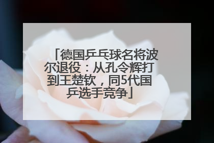 德国乒乓球名将波尔退役：从孔令辉打到王楚钦，同5代国乒选手竞争