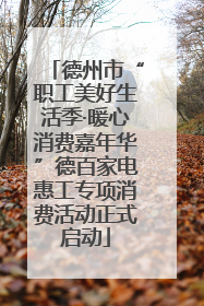德州市“职工美好生活季·暖心消费嘉年华”德百家电惠工专项消费活动正式启动