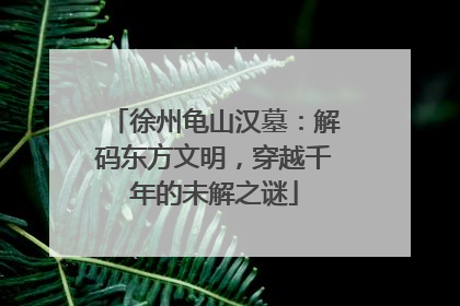 徐州龟山汉墓：解码东方文明，穿越千年的未解之谜