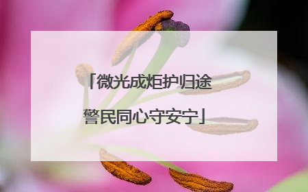 微光成炬护归途 警民同心守安宁