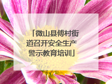 微山县傅村街道召开安全生产警示教育培训
