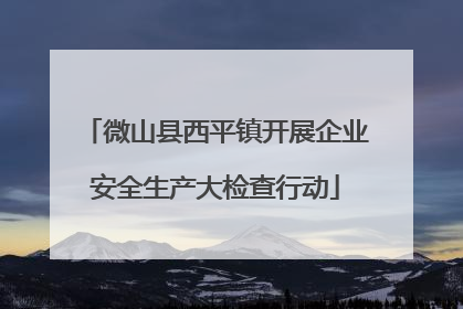 微山县西平镇开展企业安全生产大检查行动