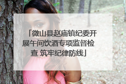 微山县赵庙镇纪委开展午间饮酒专项监督检查 筑牢纪律防线