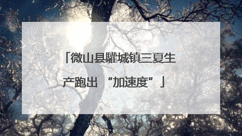 微山县驩城镇三夏生产跑出 “加速度”