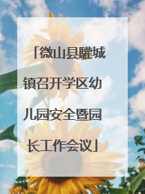 微山县驩城镇召开学区幼儿园安全暨园长工作会议