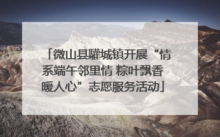 微山县驩城镇开展“情系端午邻里情 粽叶飘香暖人心”志愿服务活动
