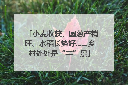 小麦收获、圆葱产销旺、水稻长势好……乡村处处是“丰”景