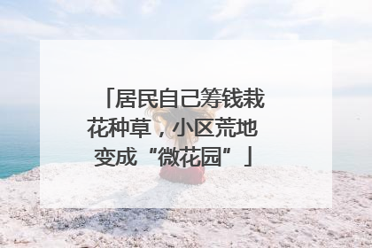 居民自己筹钱栽花种草，小区荒地变成“微花园”