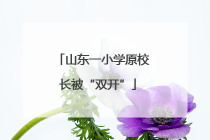 山东一小学原校长被“双开”