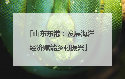山东东港：发展海洋经济赋能乡村振兴