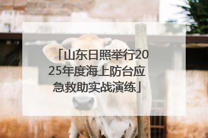 山东日照举行2025年度海上防台应急救助实战演练