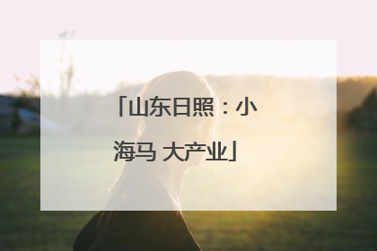山东日照：小海马 大产业