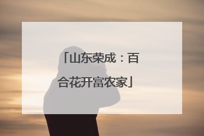 山东荣成：百合花开富农家