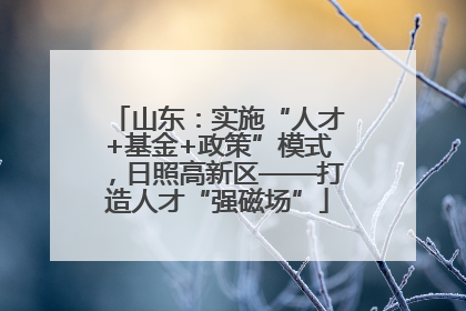 山东：实施“人才+基金+政策”模式，日照高新区——打造人才“强磁场”