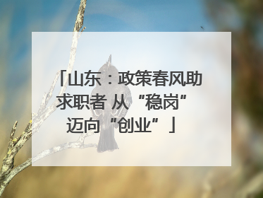 山东：政策春风助求职者 从“稳岗”迈向“创业”