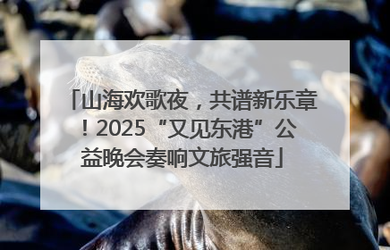 山海欢歌夜，共谱新乐章！2025“又见东港”公益晚会奏响文旅强音