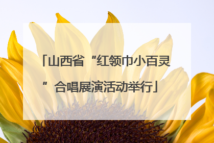 山西省“红领巾小百灵”合唱展演活动举行