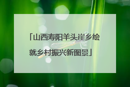山西寿阳羊头崖乡绘就乡村振兴新图景