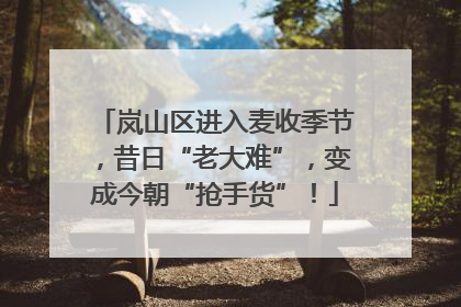 岚山区进入麦收季节，昔日“老大难”，变成今朝“抢手货”！